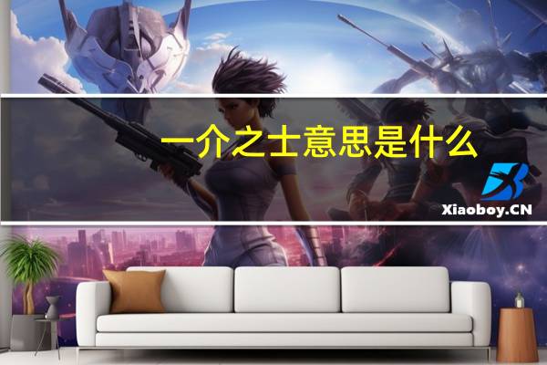 一介之士意思是什么