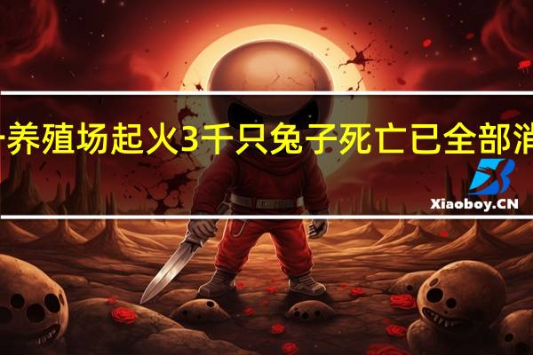 一养殖场起火3千只兔子死亡 已全部消毒掩埋