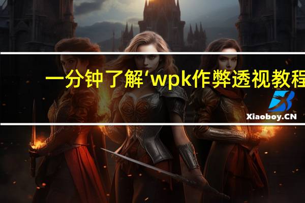 一分钟了解‘wpk作弊透视教程(开挂提高胜率)