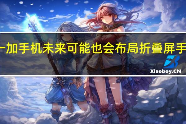 一加手机未来可能也会布局折叠屏手机市场