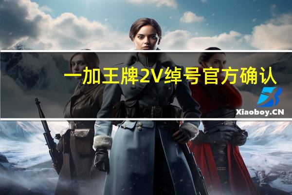 一加王牌2V绰号官方确认