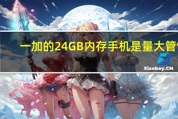一加的24GB内存手机是量大管饱