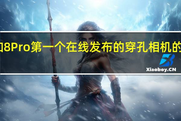 一加8 Pro 第一个在线发布的穿孔相机的实时图像