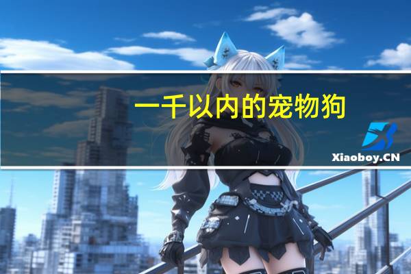 一千以内的宠物狗