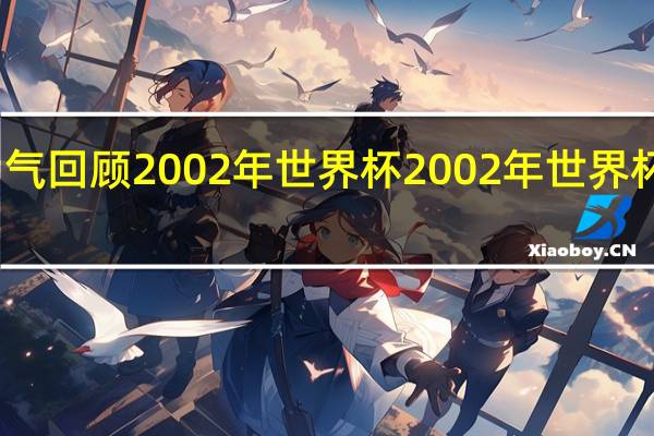 一口气回顾2002年世界杯 2002年世界杯最佳射手