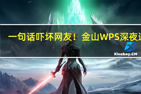 一句话吓坏网友！金山WPS深夜道歉：所有用户文档不会被用于任何AI训练