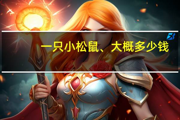 一只小松鼠、大概多少钱