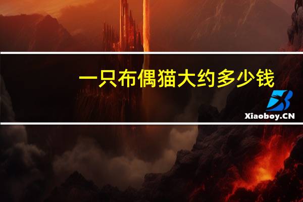 一只布偶猫大约多少钱