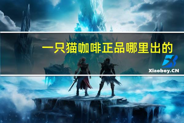 一只猫咖啡正品哪里出的