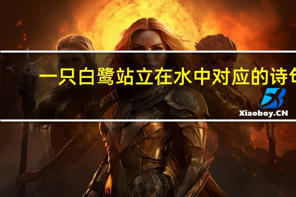 一只白鹭站立在水中对应的诗句