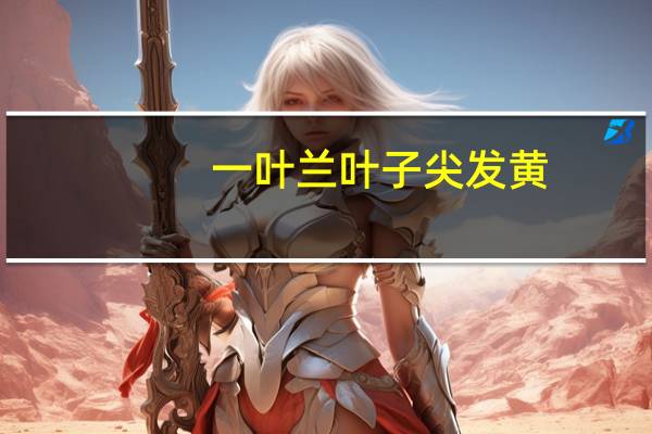一叶兰叶子尖发黄