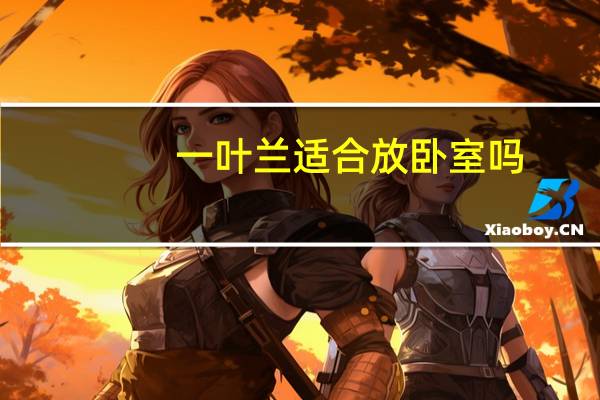 一叶兰适合放卧室吗?