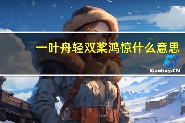 一叶舟轻双桨鸿惊什么意思