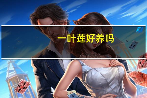 一叶莲好养吗