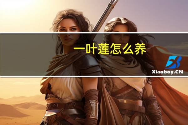 一叶莲怎么养