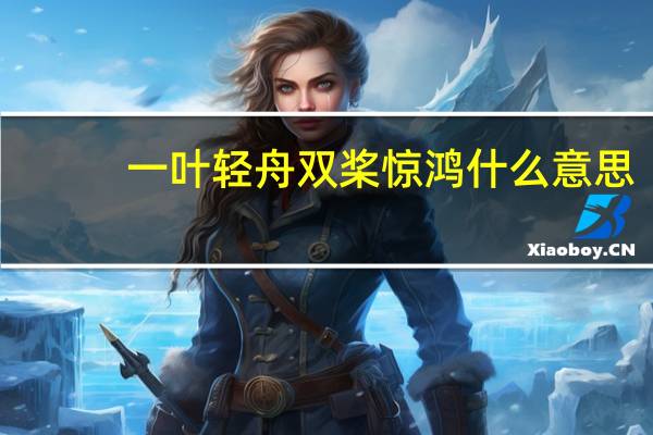 一叶轻舟双桨惊鸿什么意思