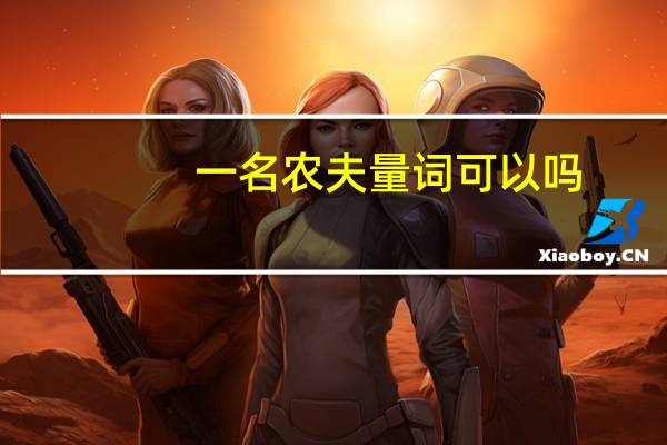 一名农夫量词可以吗