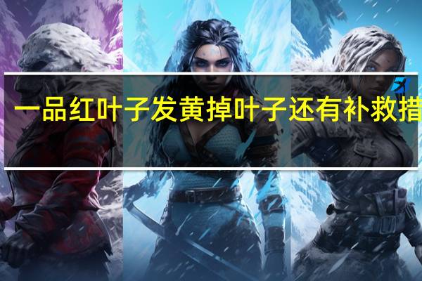一品红叶子发黄掉叶子还有补救措施吗
