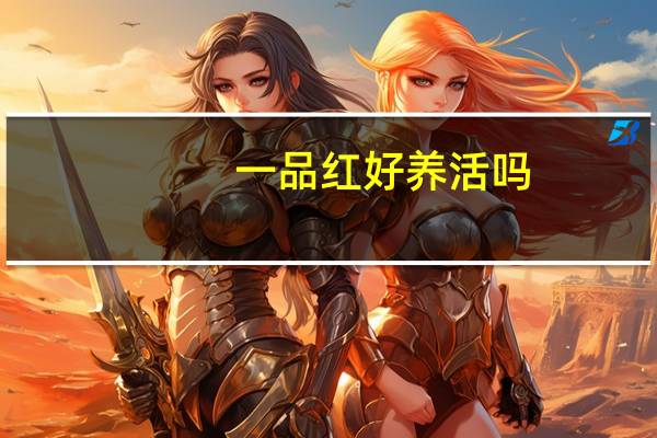 一品红好养活吗