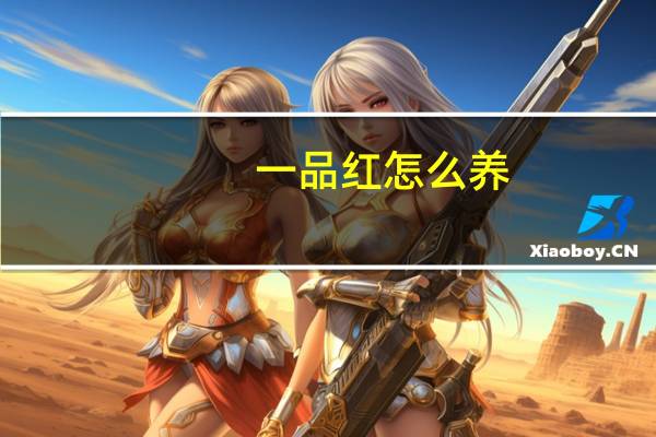 一品红怎么养