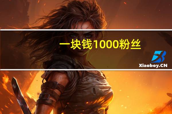 一块钱1000粉丝 - 快手刷点亮
