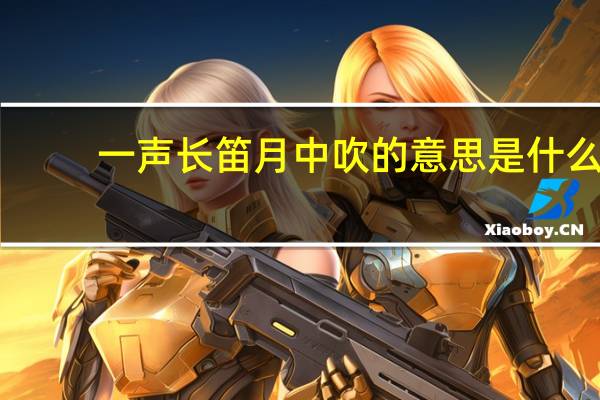 一声长笛月中吹的意思是什么