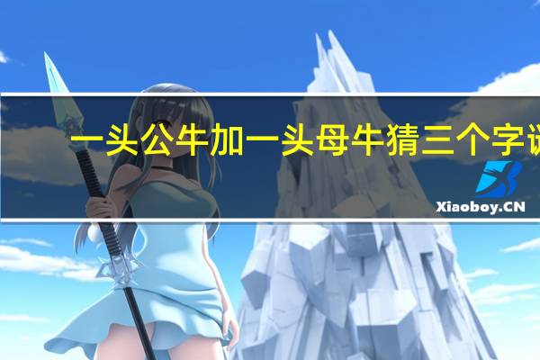 一头公牛加一头母牛猜三个字谜（一头公牛加一头母牛猜三个字）