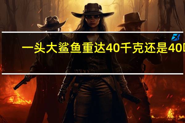 一头大鲨鱼重达40千克还是40吨