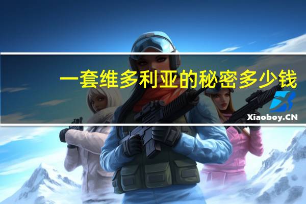 一套维多利亚的秘密多少钱（维多利亚的秘密价格）