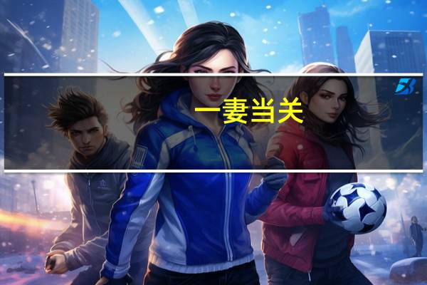 一妻当关（关于一妻当关的介绍）