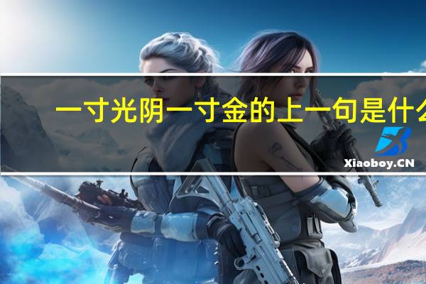 一寸光阴一寸金的上一句是什么