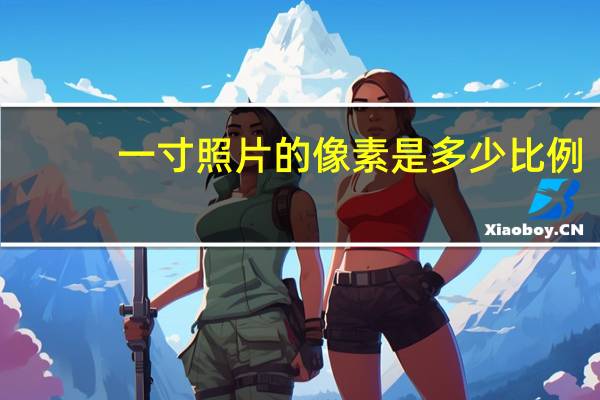 一寸照片的像素是多少比例(一寸照片的像素是多少)