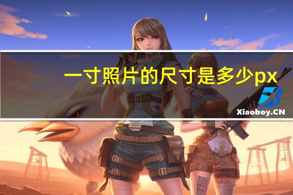 一寸照片的尺寸是多少px（一寸照片的尺寸是多少）