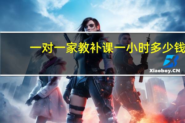 一对一家教补课一小时多少钱