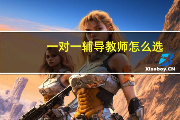 一对一辅导教师怎么选