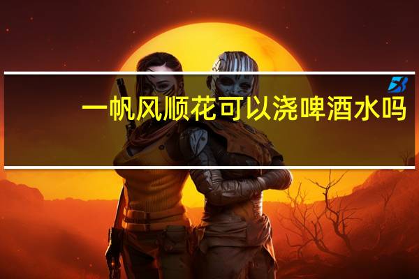 一帆风顺花可以浇啤酒水吗