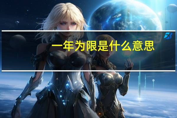 一年为限是什么意思