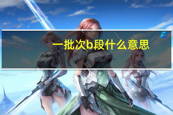 一批次b段什么意思