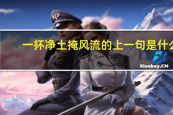 一抔净土掩风流的上一句是什么