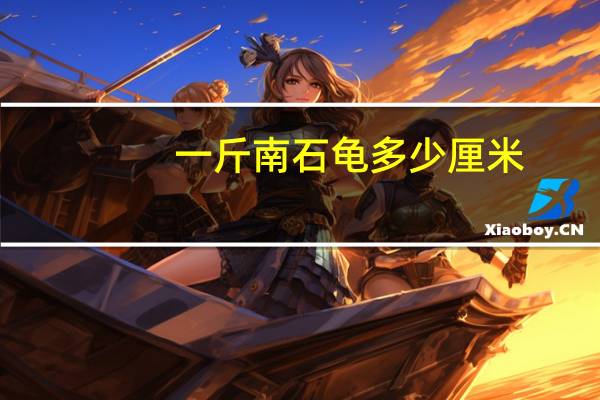 一斤南石龟多少厘米