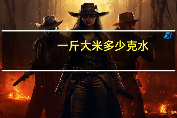 一斤大米多少克水