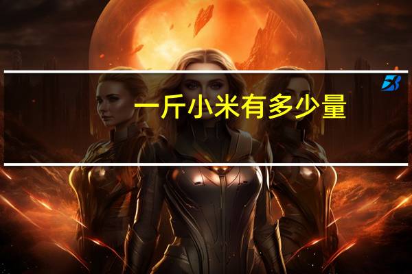 一斤小米有多少量