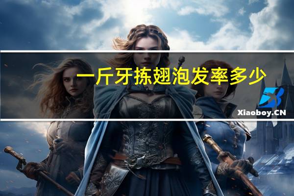 一斤牙拣翅泡发率多少