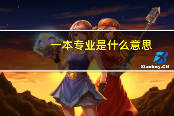 一本专业是什么意思