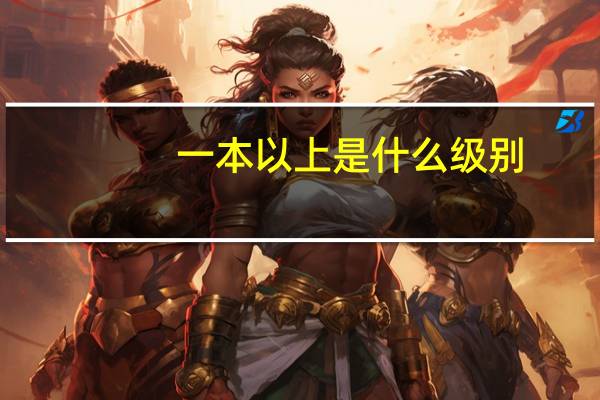 一本以上是什么级别