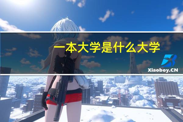 一本大学是什么大学