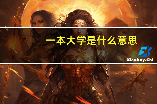 一本大学是什么意思