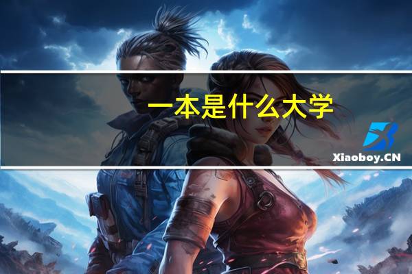 一本是什么大学