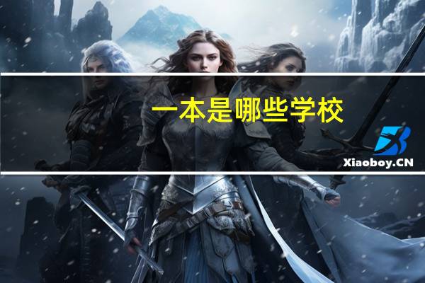 一本是哪些学校