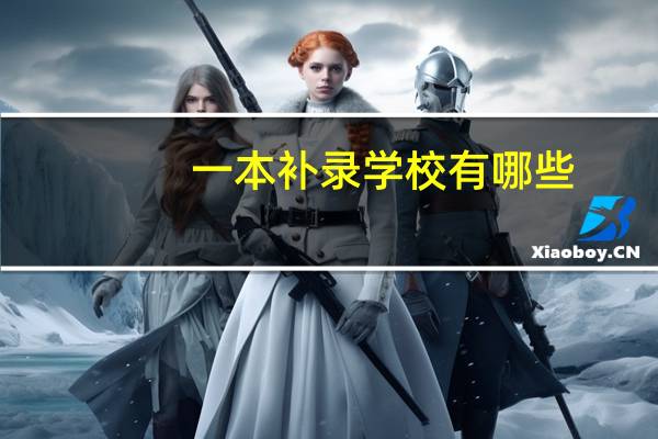 一本补录学校有哪些